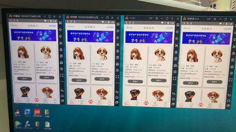 區(qū)塊貓 狗區(qū)塊鏈寵物街app開發(fā)