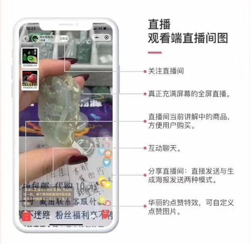 直播系統開發91短視頻系統開發 專業開發,質量保證