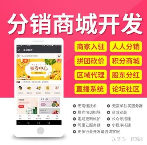 2021年實體項目搭建線上平臺 各類app專業(yè)開發(fā)找我