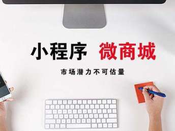 圖 成都商城開發,app定制,系統開發,網站建設 成都網站建設推廣