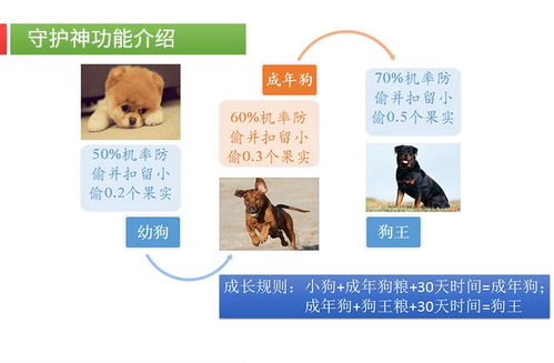 農(nóng)場(chǎng)系統(tǒng)農(nóng)場(chǎng)app開(kāi)發(fā)定制 專(zhuān)業(yè)開(kāi)發(fā),品質(zhì)保障